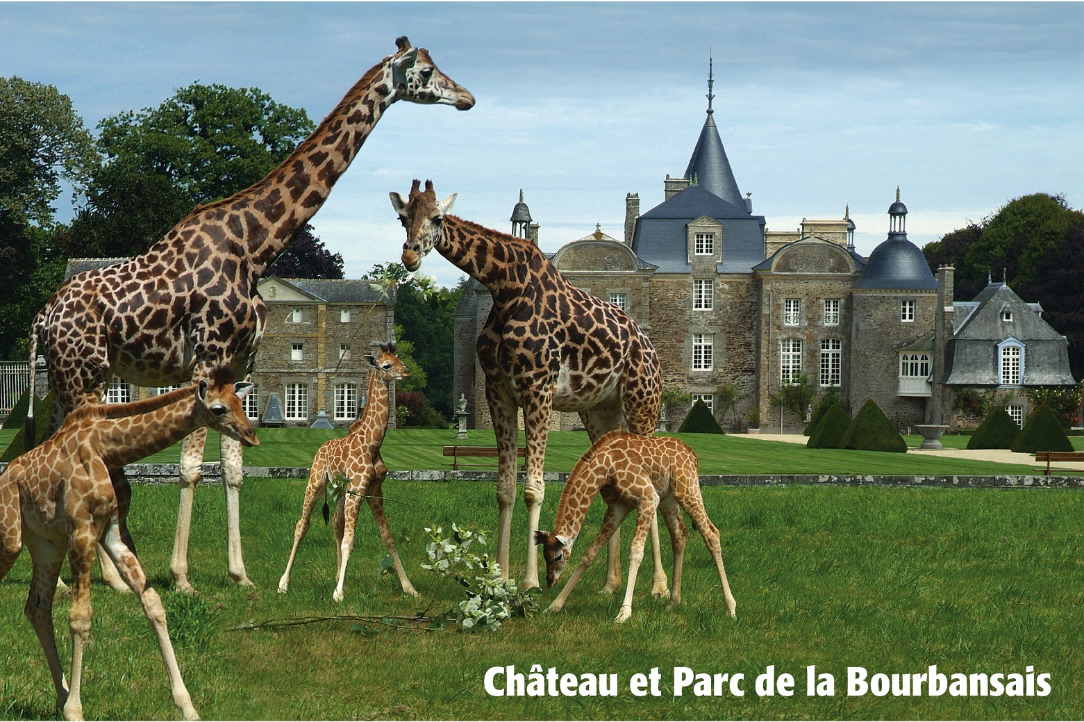 Le site de la Bourbansais propose de découvrir un zoo et un château en un même lieu - Vacances accessibles en Bretagne © Château et parc de la Bourbansais